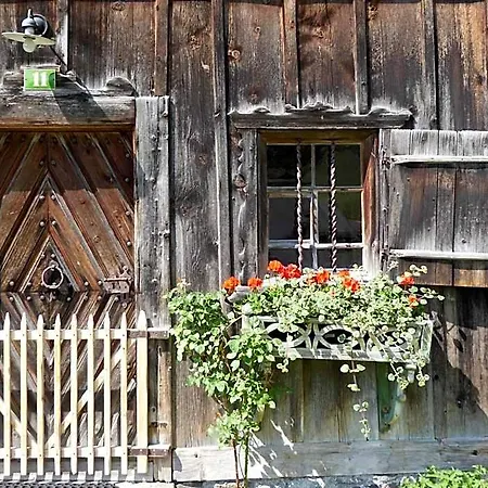 Maroi Wald am Arlberg