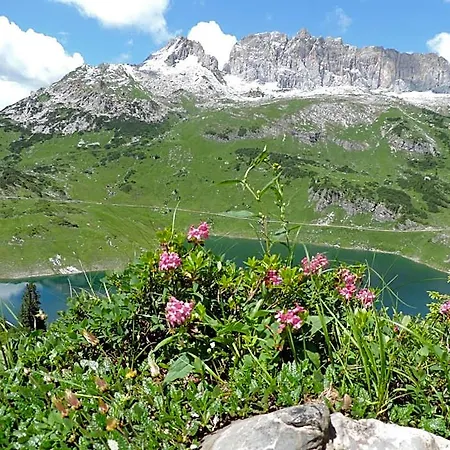 Maroi